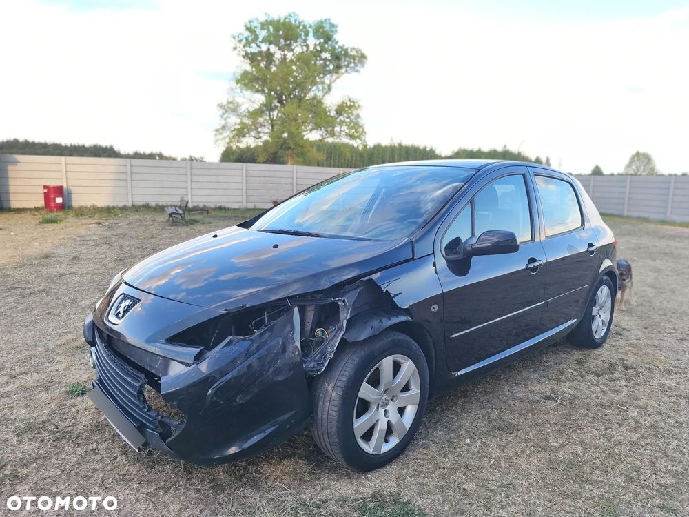 Peugeot 307 1.6 - 4