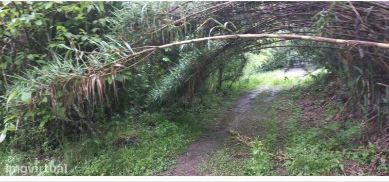 Terreno Rústico-Serpins Lousã  com levada e rio Ceira - Grande imagem: 5/6