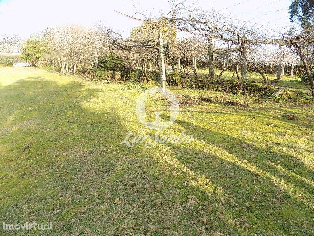 Terreno c/4900m2 - Covelas, Trofa - Grande imagem: 3/7