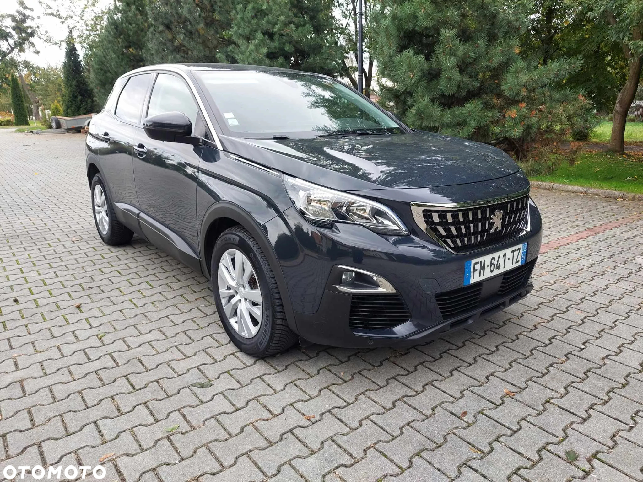 Peugeot 3008 1.5 BlueHDi Active S&S EAT8 - 6