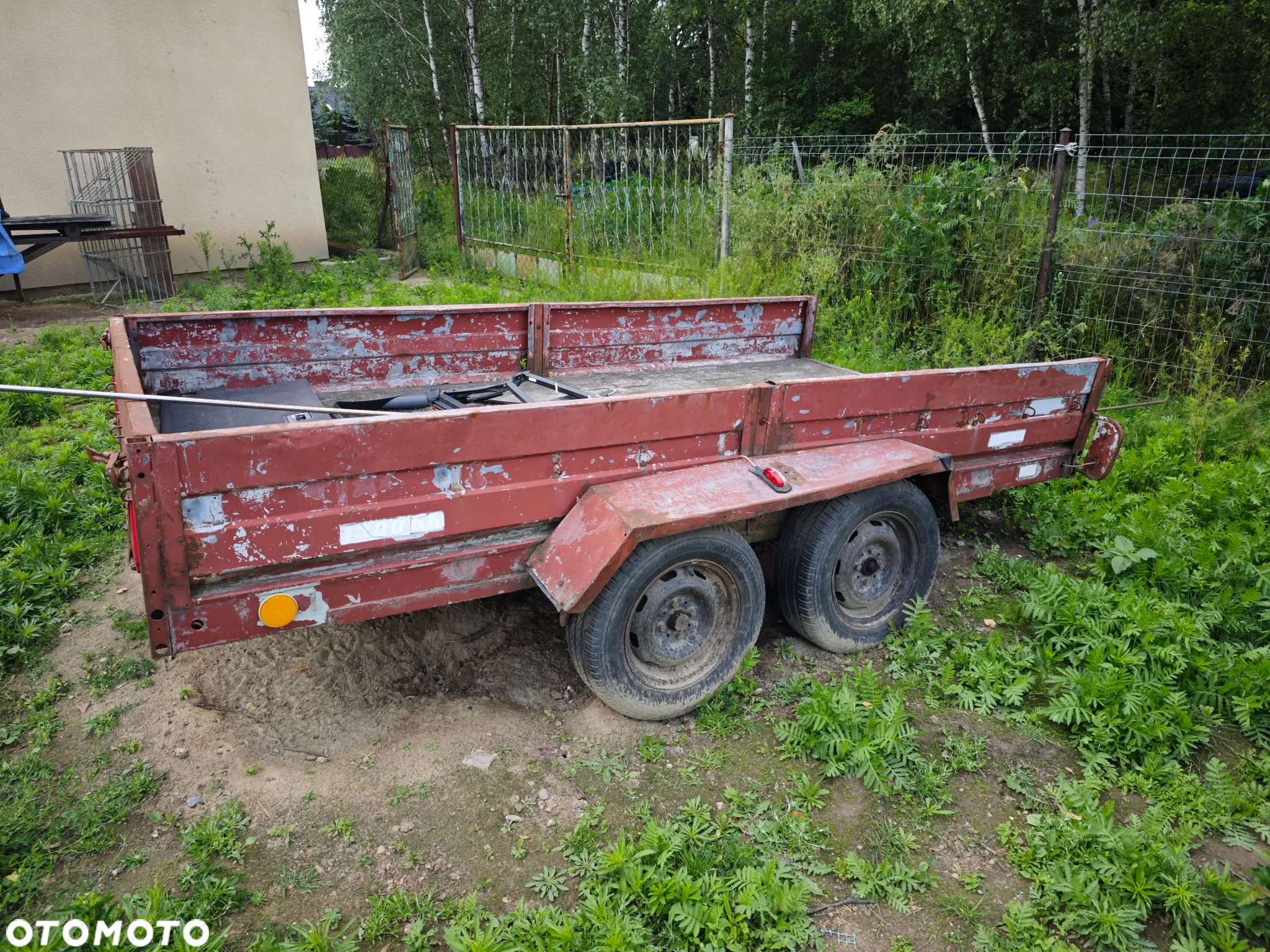 Syriusz L9077 - 9
