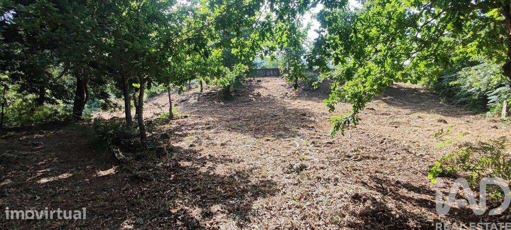 Terreno em Romarigães - Grande imagem: 2/24