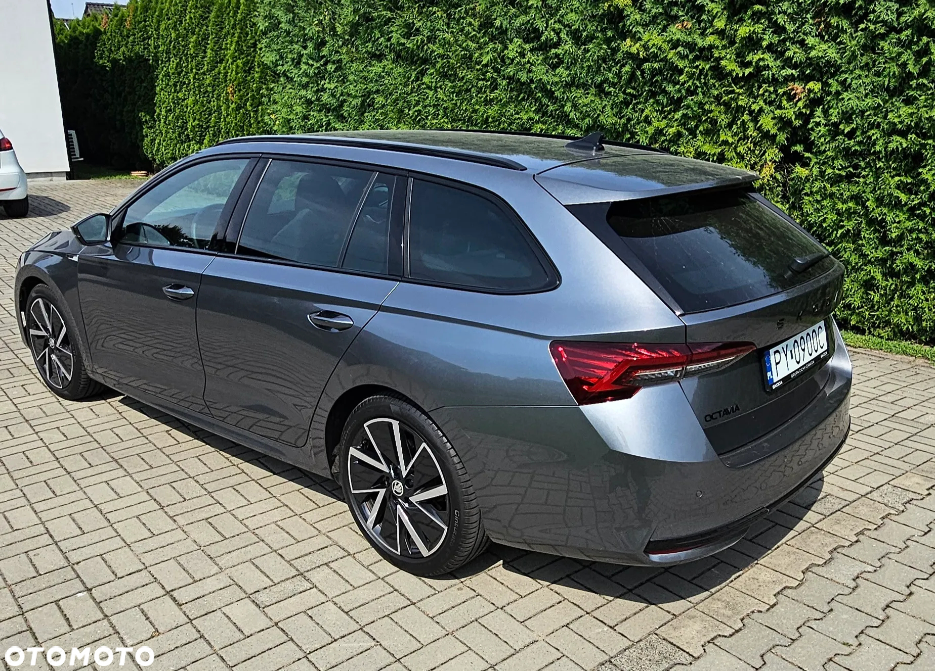 Skoda Octavia - 3