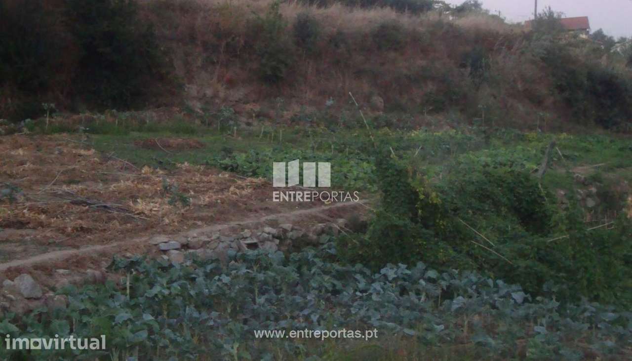 Venda Terreno, Santa Marinha do Zêzere, Baião - Grande imagem: 3/8