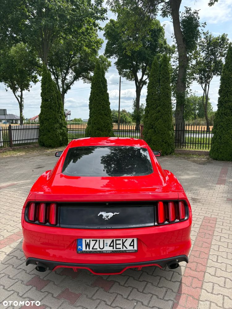 Ford Mustang - 5