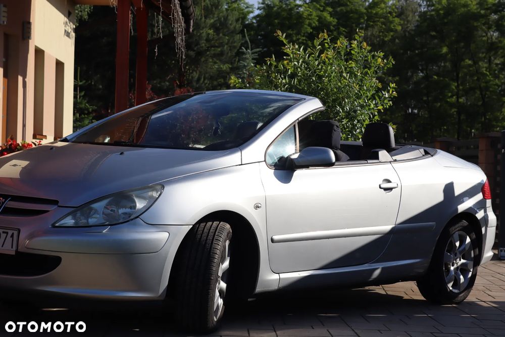 Peugeot 307 2.0 XS - 15