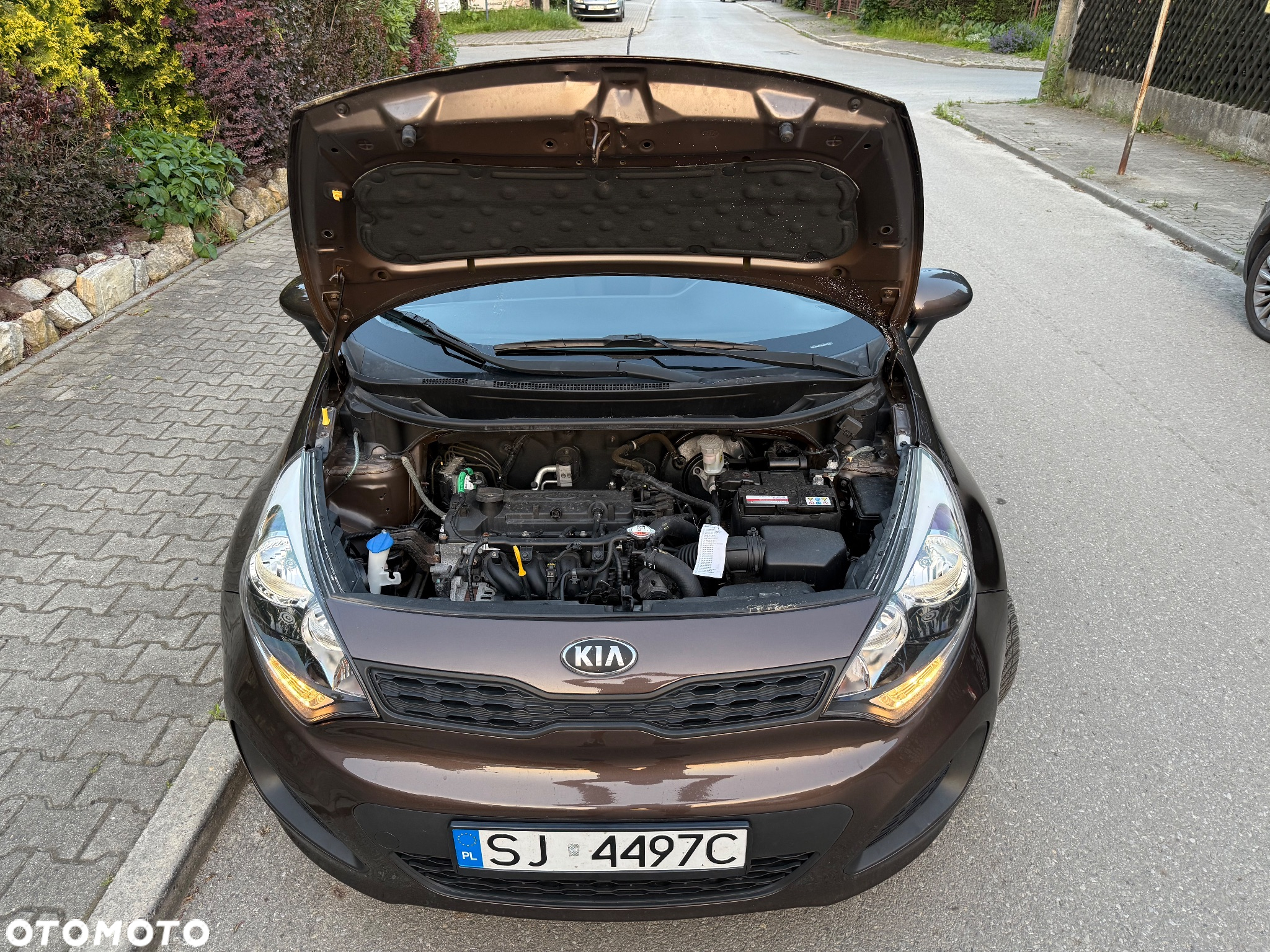 Kia Rio 1.2 Edition 7 - 8