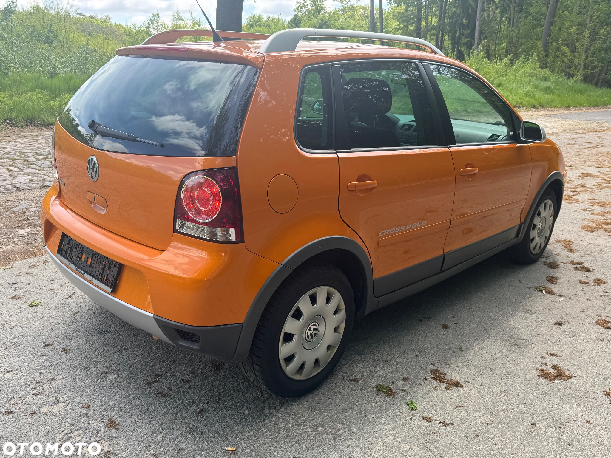 Volkswagen Polo Cross 1.6 - 13