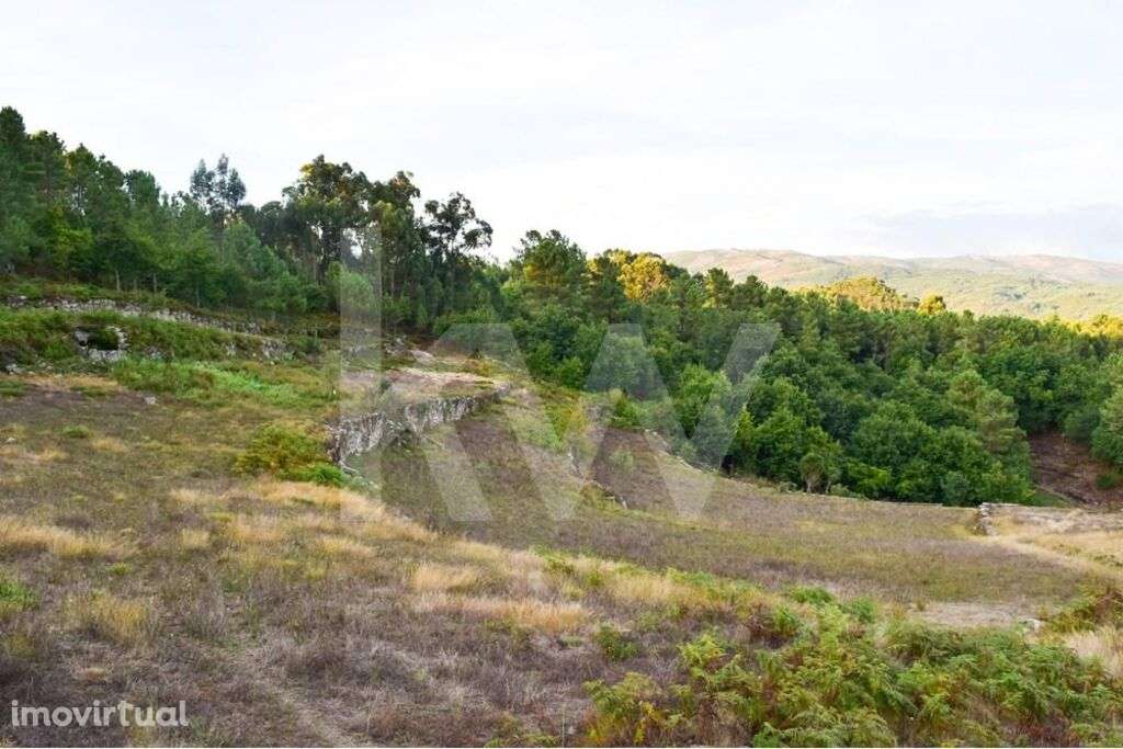 Terreno Rustico - Grande imagem: 4/10