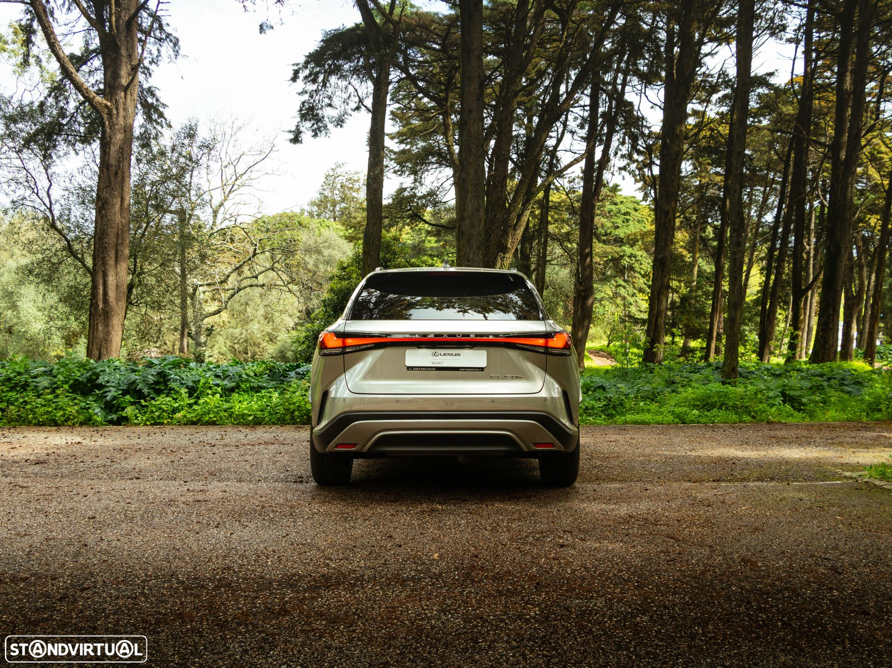 Lexus rx-450h - 4