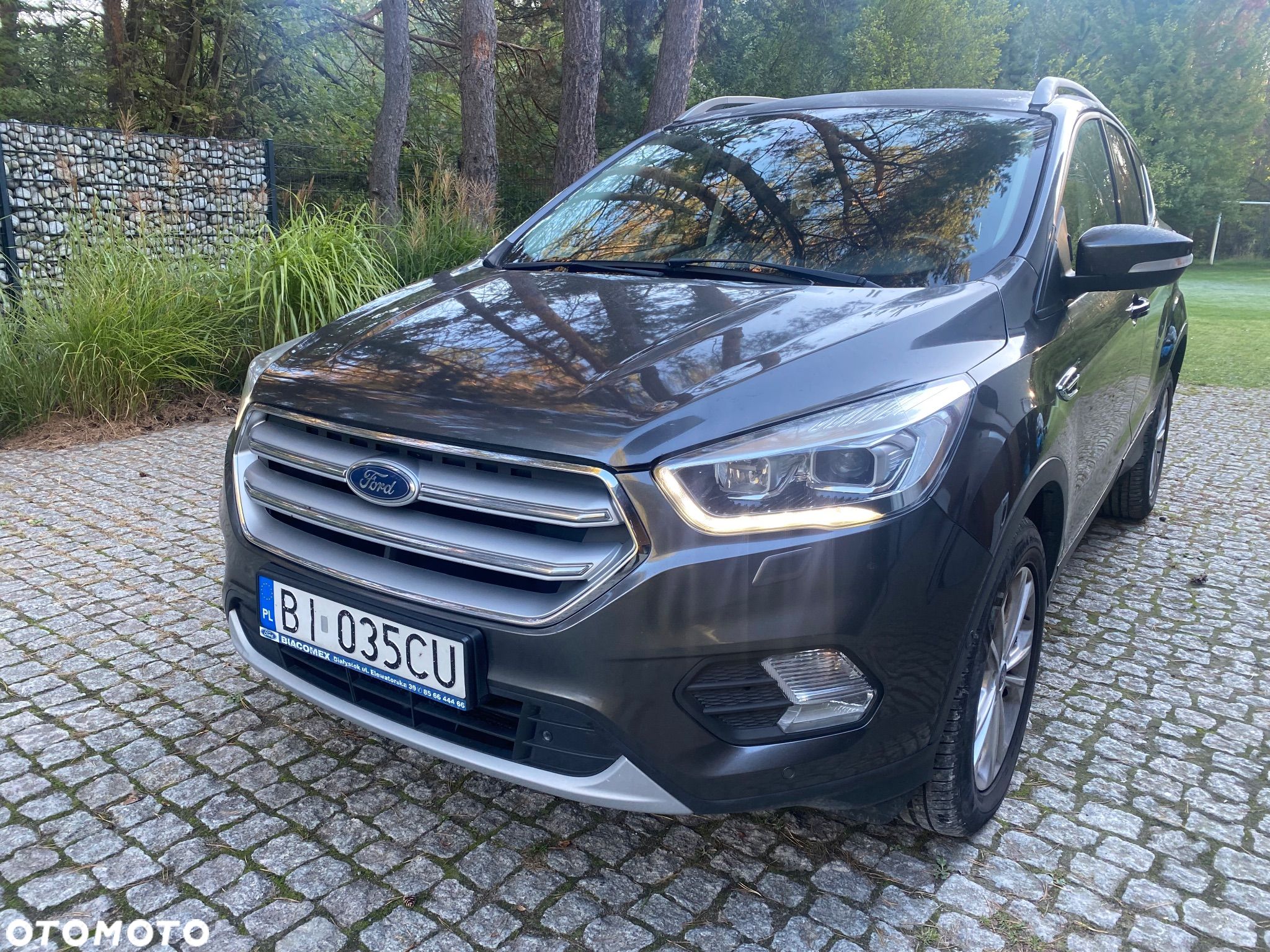 Ford Kuga 1.5 EcoBoost FWD Titanium ASS GPF - 1