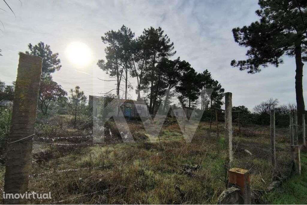 Terreno com 1506m2 para Construção - Grande imagem: 3/9