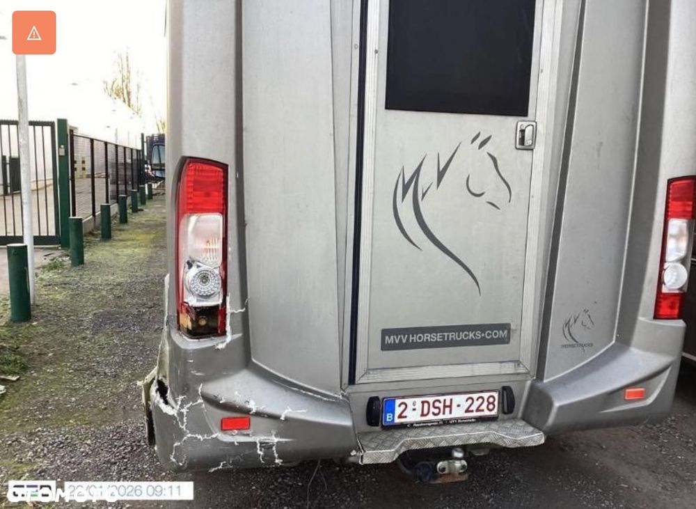 Opel MOVANO Koniowóz - 11