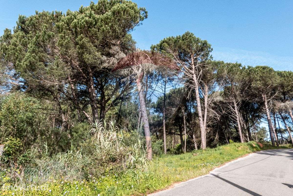 Terreno  para venda - Grande imagem: 2/17