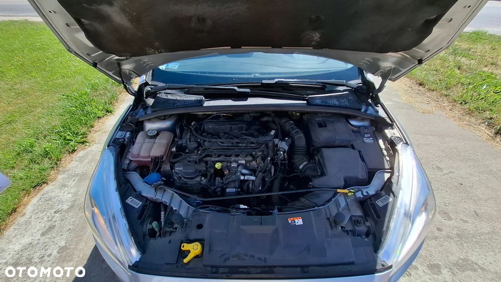 Ford Focus - 14