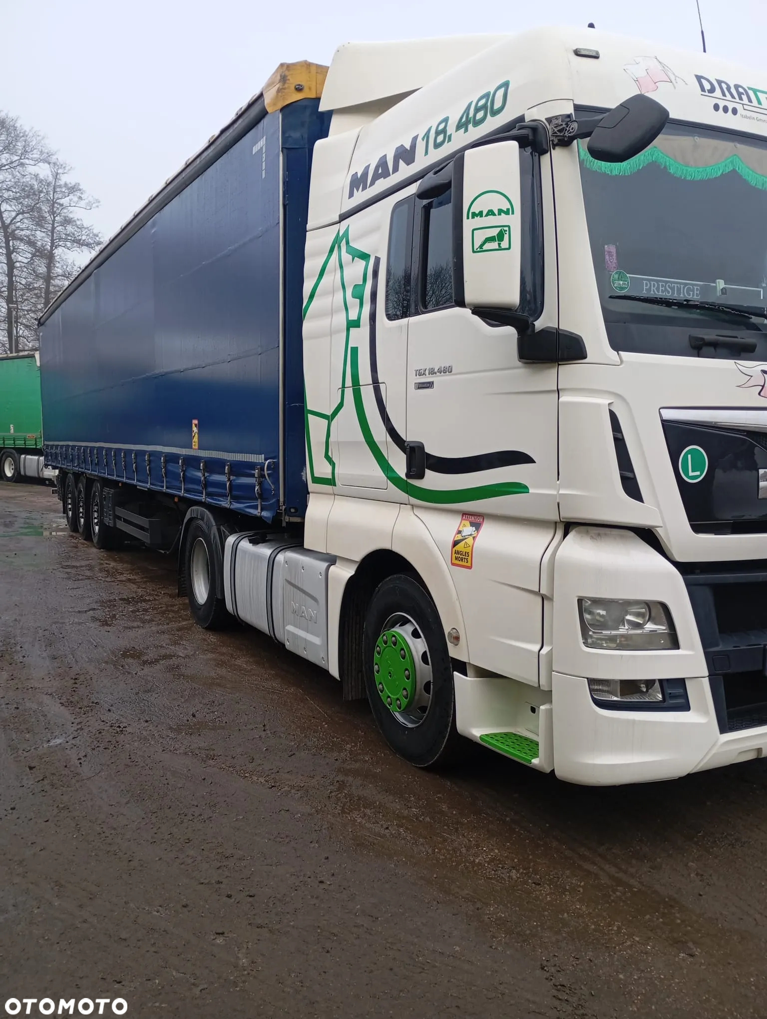 Schmitz Cargobull - 5