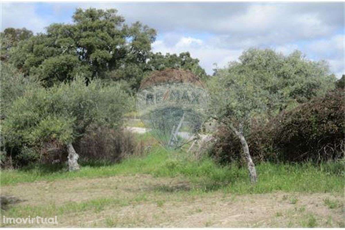 Quinta T0 para venda - Grande imagem: 3/28