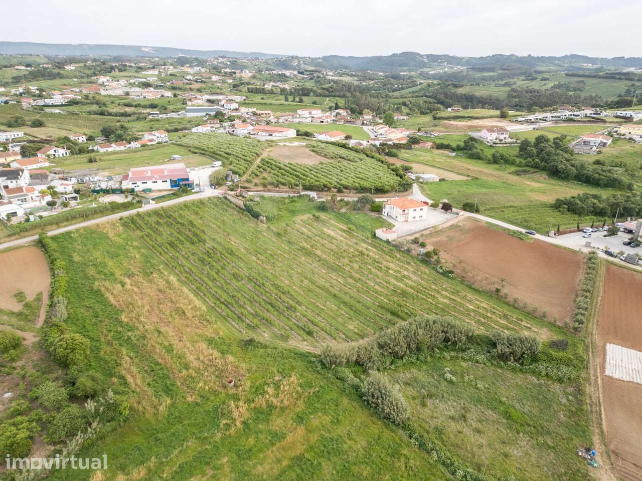 Terreno com PIP aprovado para 6 Moradias - Grande imagem: 2/26