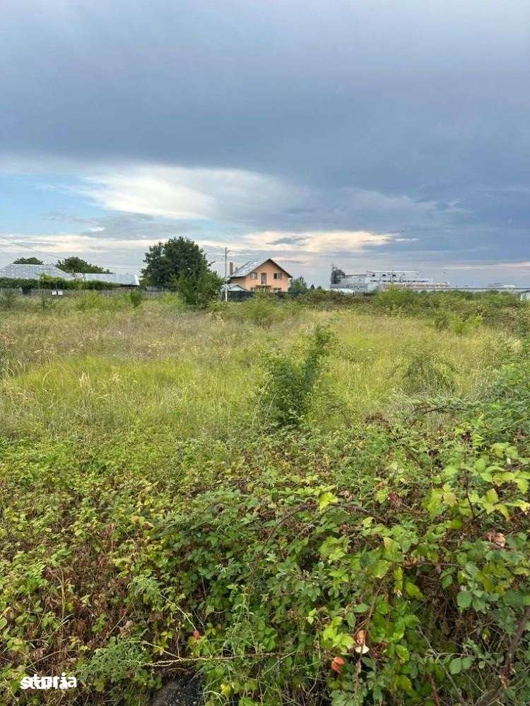 Florești - teren intravilan 3500mp - 15 Euro/mp - Imagine principală: 2/4