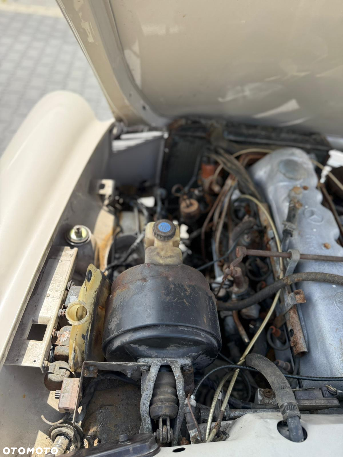 Mercedes-Benz Inny - 18