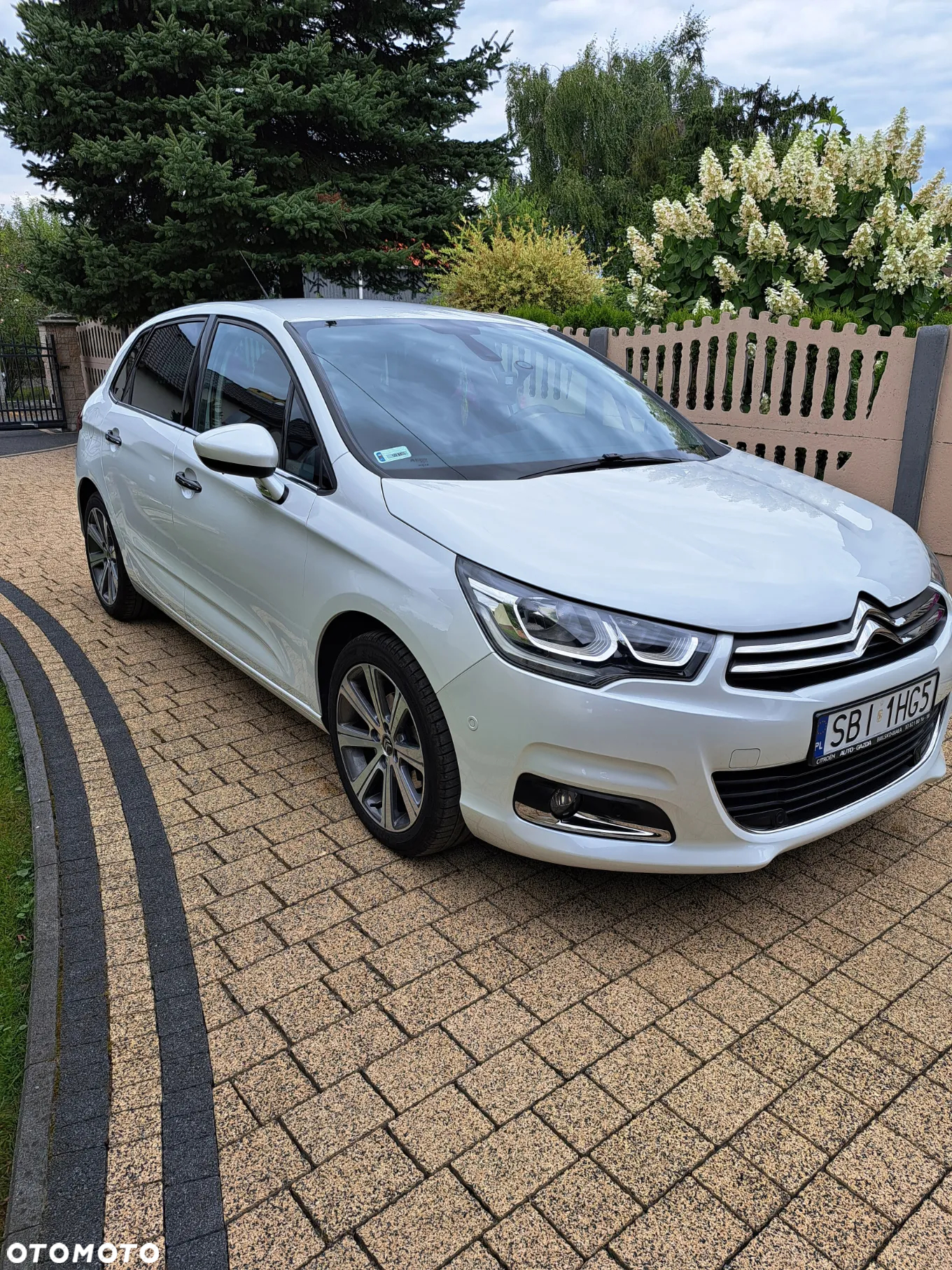Citroën C4 1.2 PureTech Shine S&S - 2