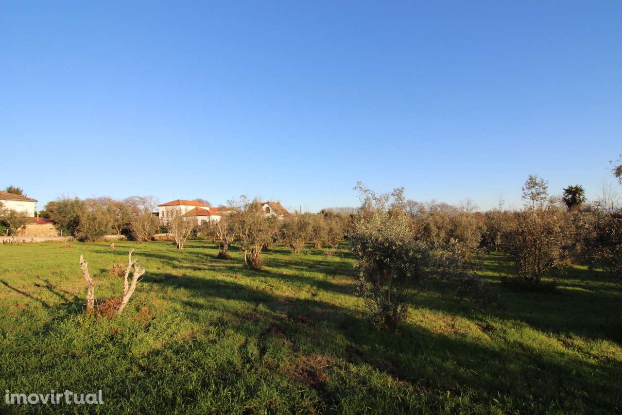 Terreno  Venda em Canas de Santa Maria,Tondela - Grande imagem: 2/14