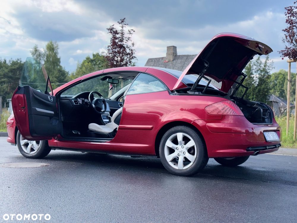 Peugeot 307 - 14
