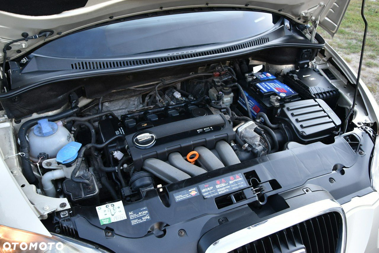 Seat Altea - 22