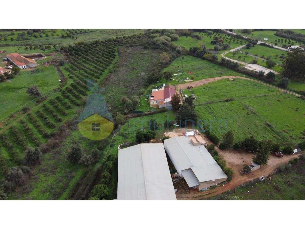 Terreno urbano e terreno rústico em Odiáxere para novo projeto. - Grande imagem: 4/22