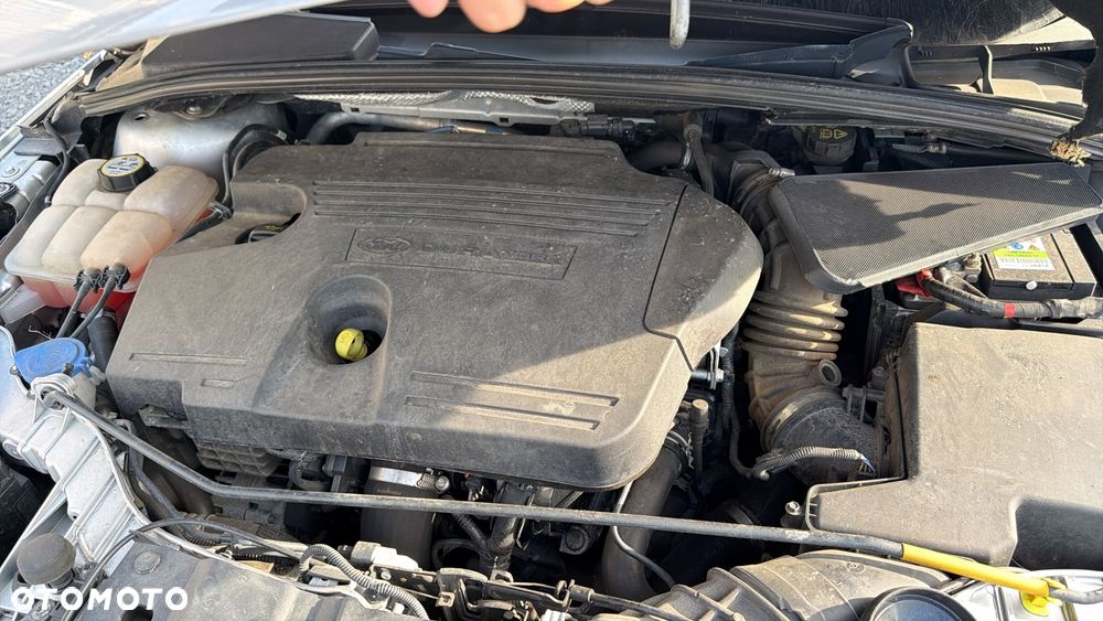 Ford Focus - 13