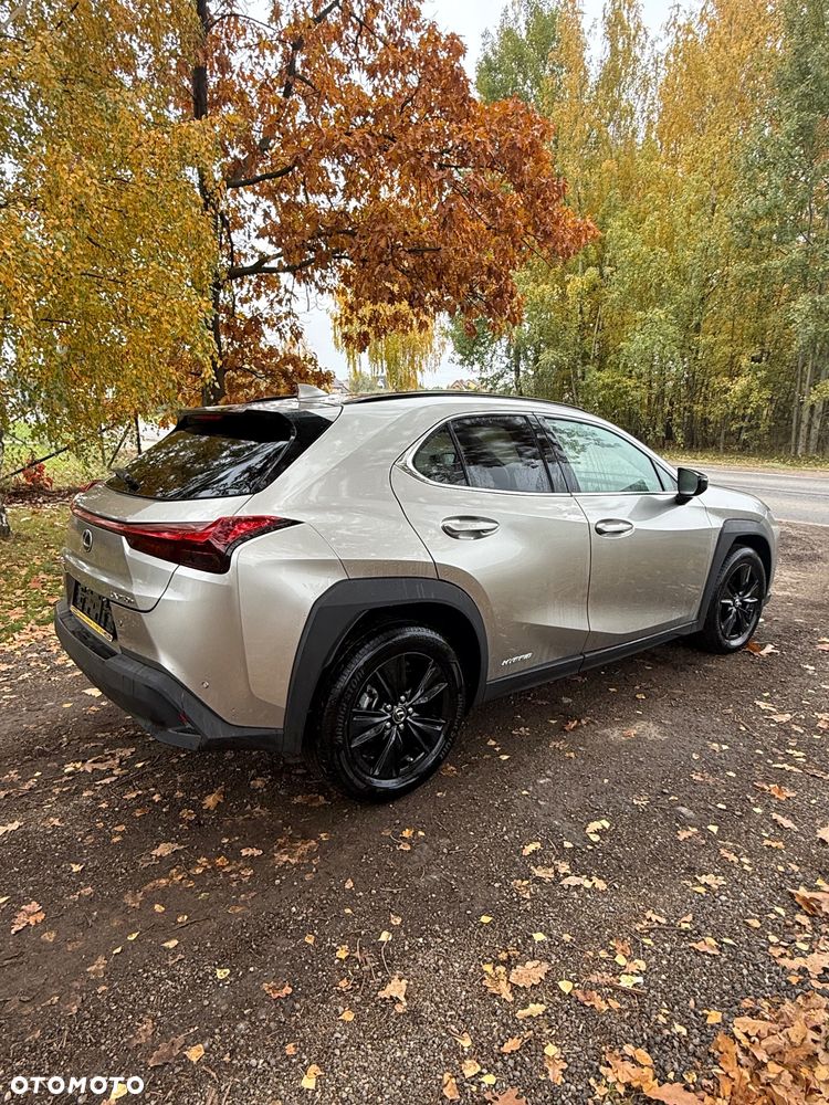 Lexus UX - 6