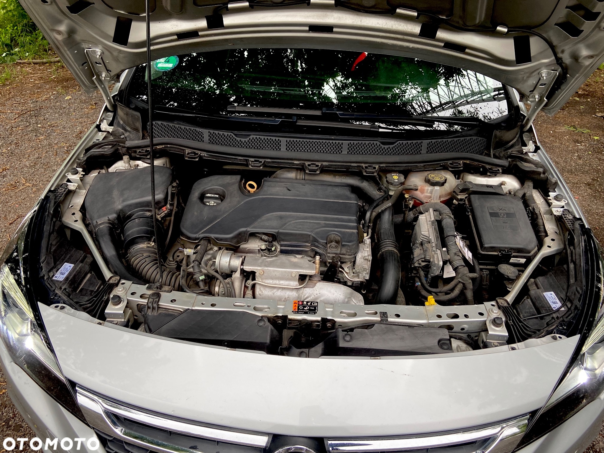Opel Astra V 1.4 T Elite S&S - 19