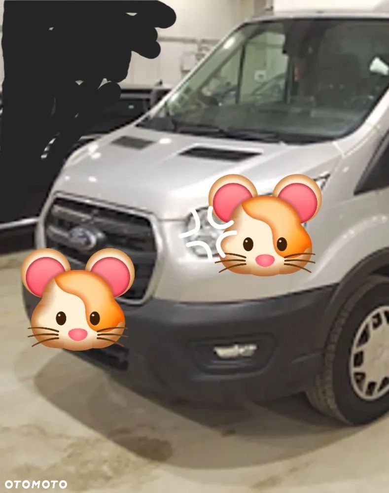 Ford TRANSIT - 5