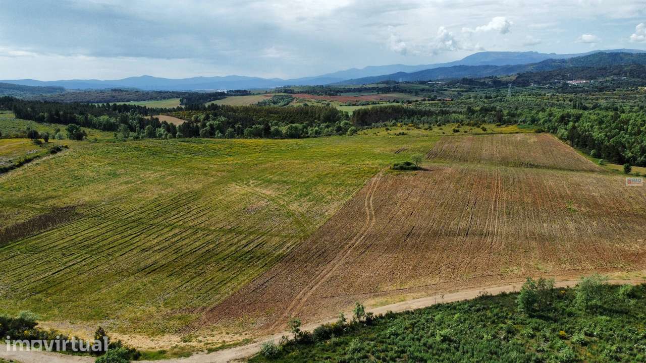 Terreno c/ Regadio - entre Fatela e Capinha - Grande imagem: 5/10