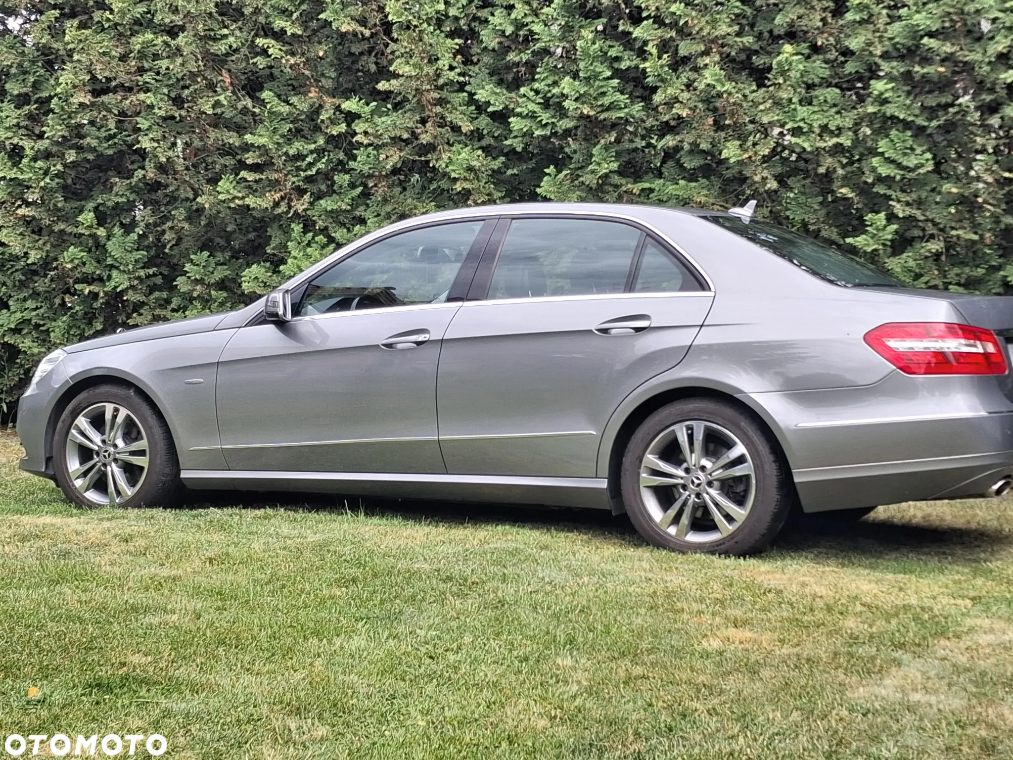 Mercedes-Benz Klasa E 220 BlueTEC 7G-TRONIC Avantgarde - 6