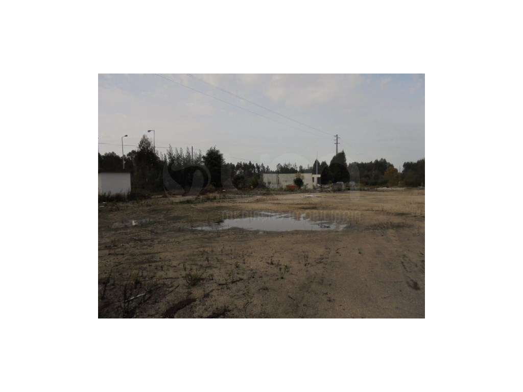 Terreno em Águeda - Grande imagem: 5/7