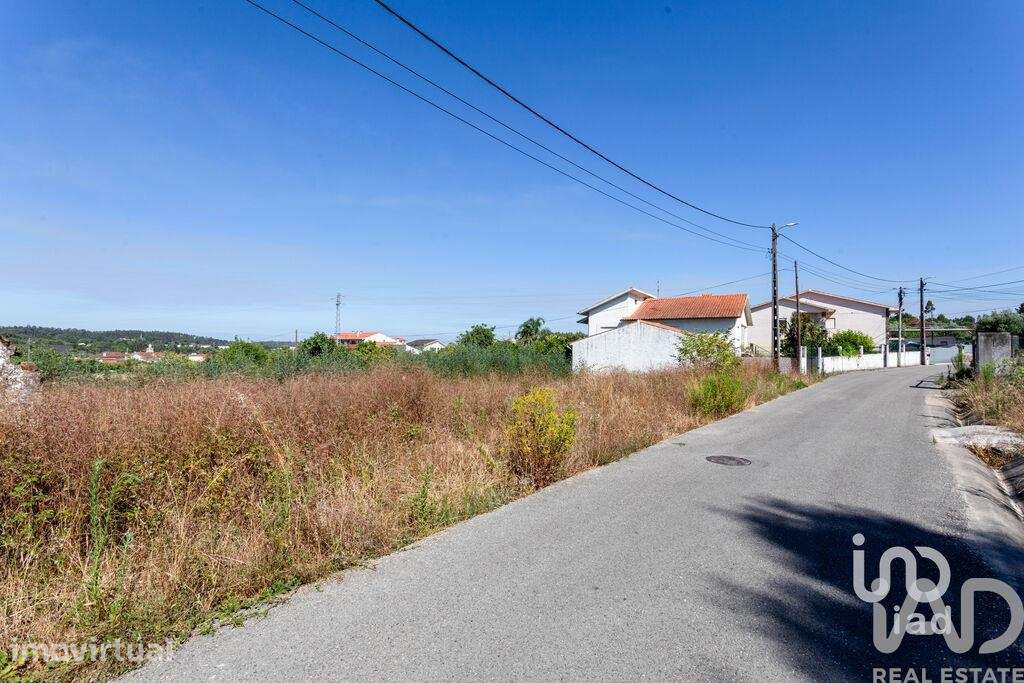 Terreno em Pampilhosa de 6421,00 m2 - Grande imagem: 3/20