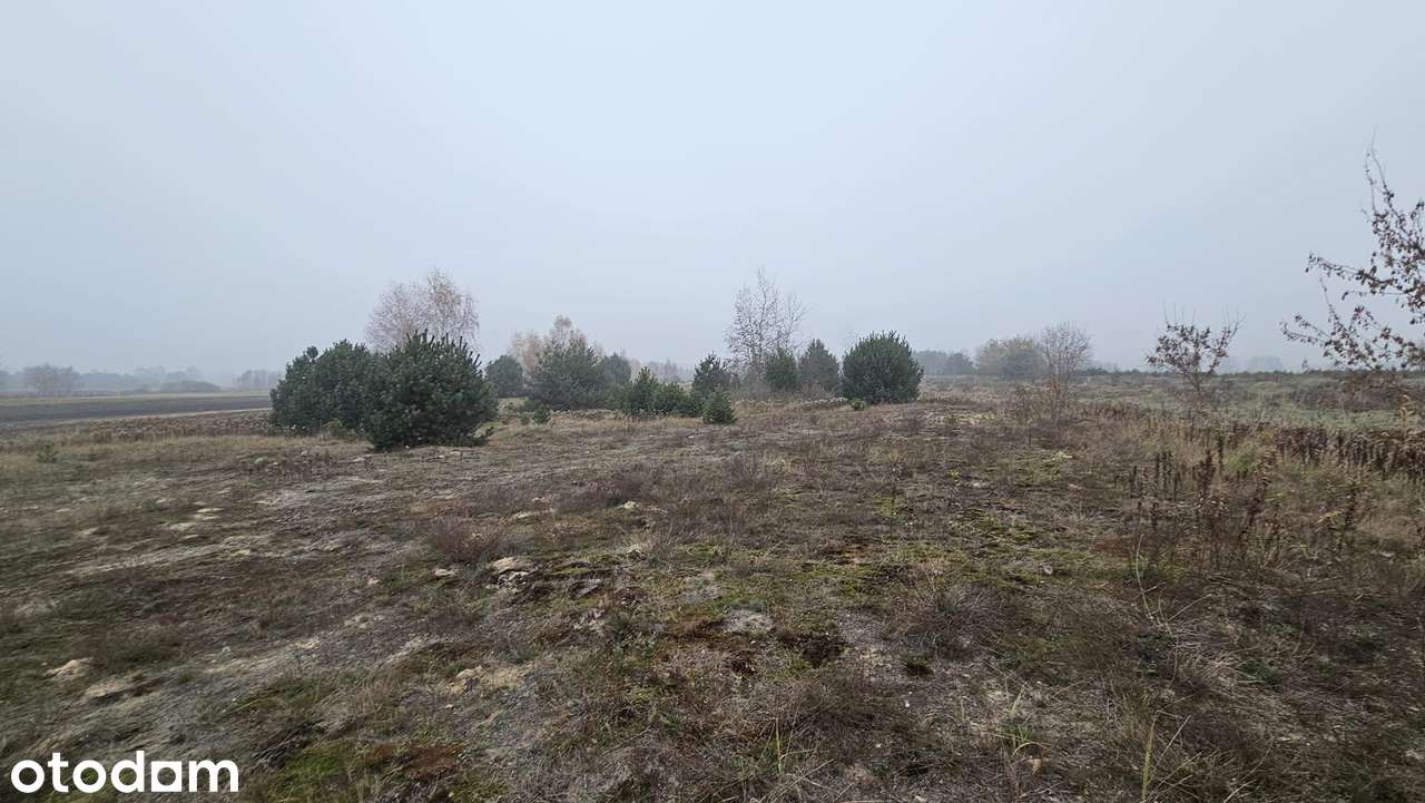 Działka o powierzchni 16800 m2 - Pełny obrazek: 4/9