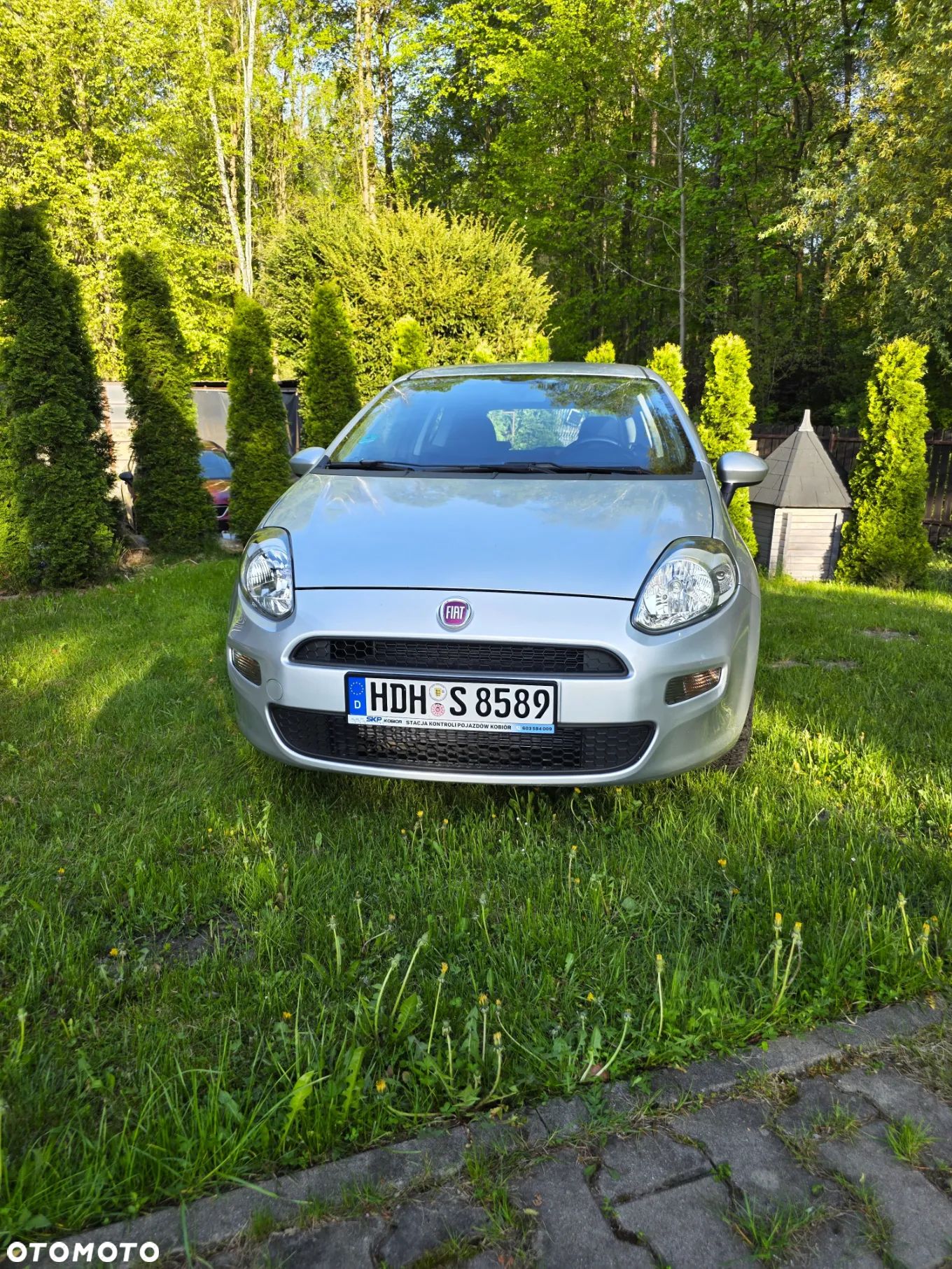 Fiat Punto - 1