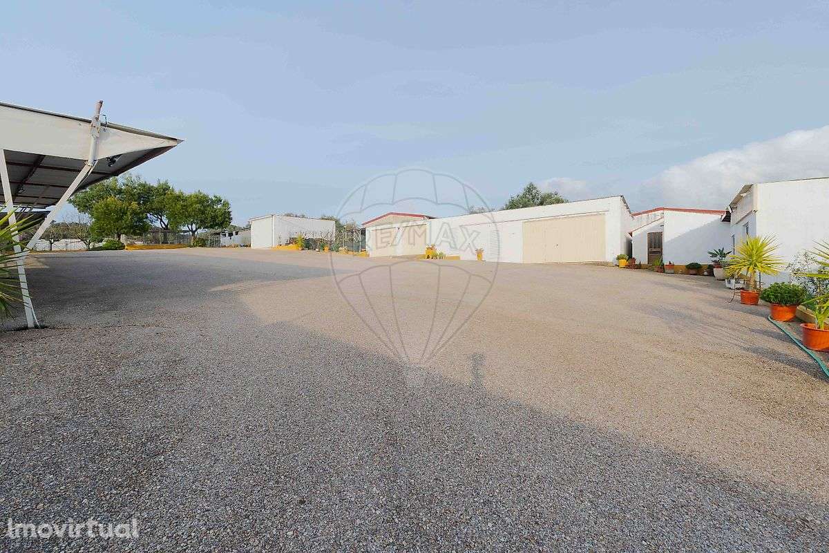 Quinta T3 para venda - Grande imagem: 5/49