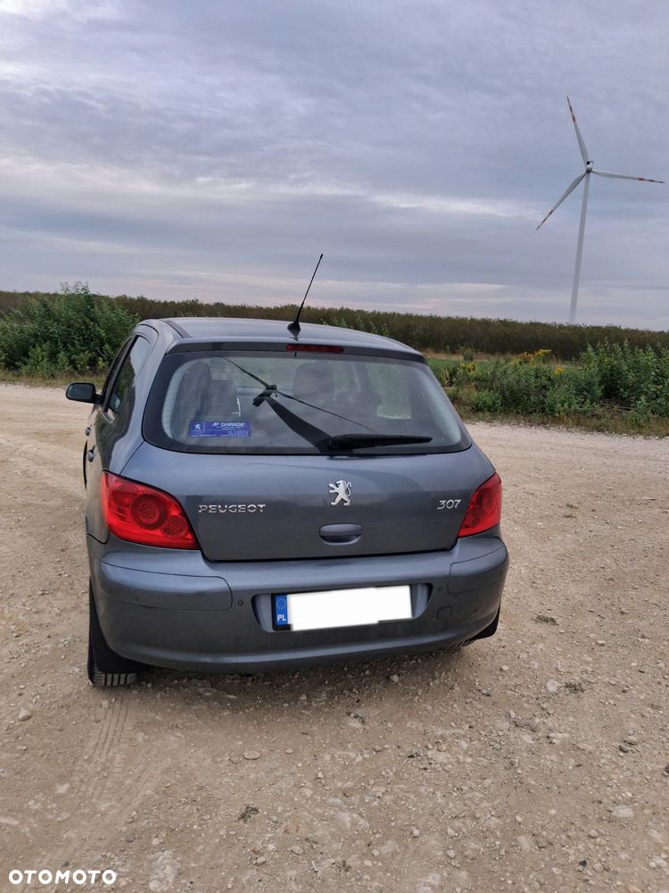 Peugeot 307 1.6 XS - 4