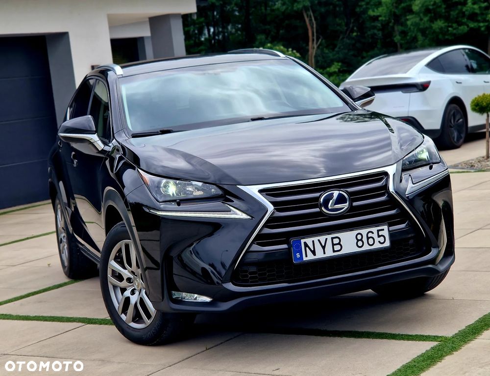 Lexus NX - 1