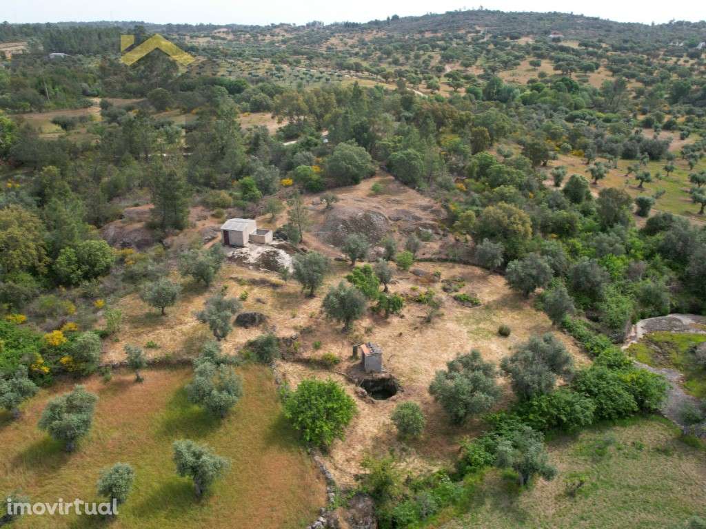 Quintinha 'Off-Grid' com Poço, Árvores e Linha de Água - Castelo Br... - Grande imagem: 2/28