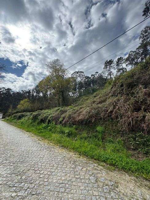 Excelente oportunidade de investimento em Vila Verde e Barbudo! - Grande imagem: 3/7