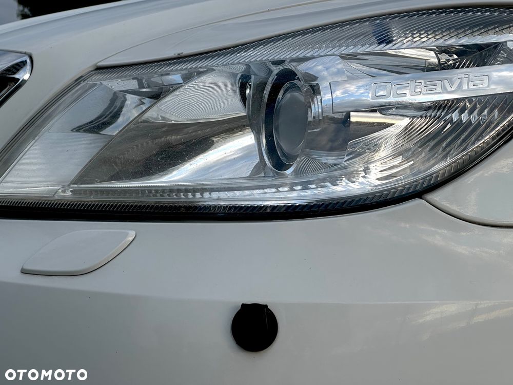 Skoda Octavia - 5