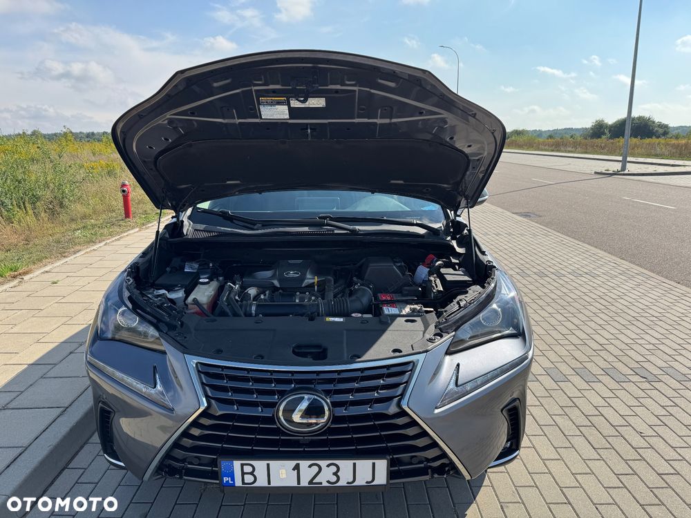 Lexus NX 300 - 22