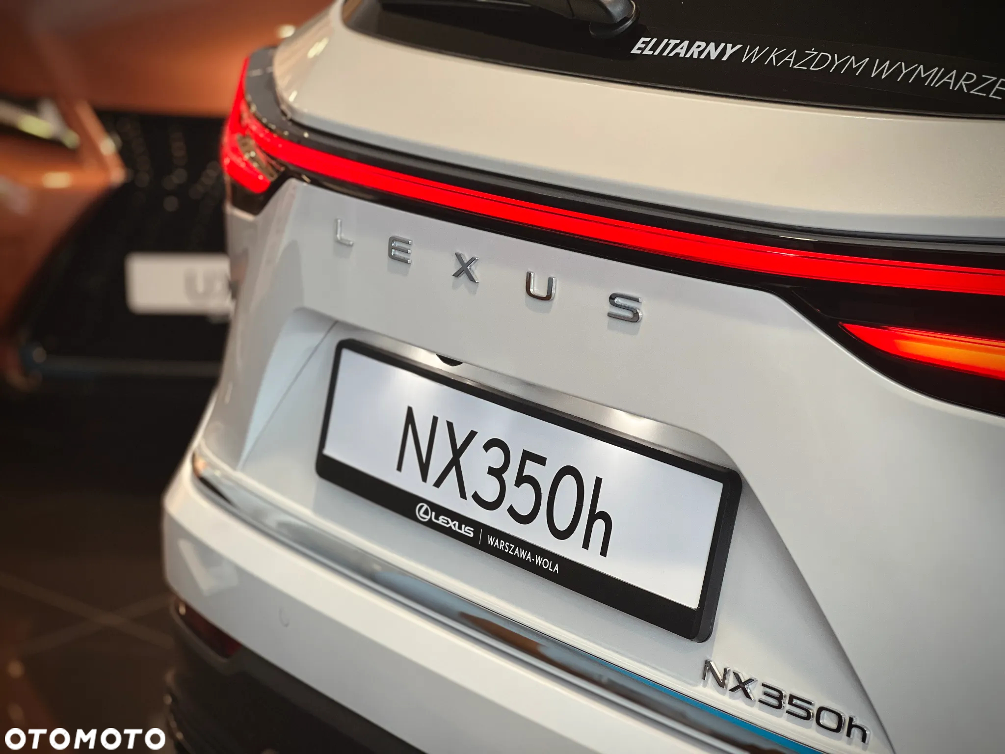 Lexus NX 350h Overtrail AWD - 10
