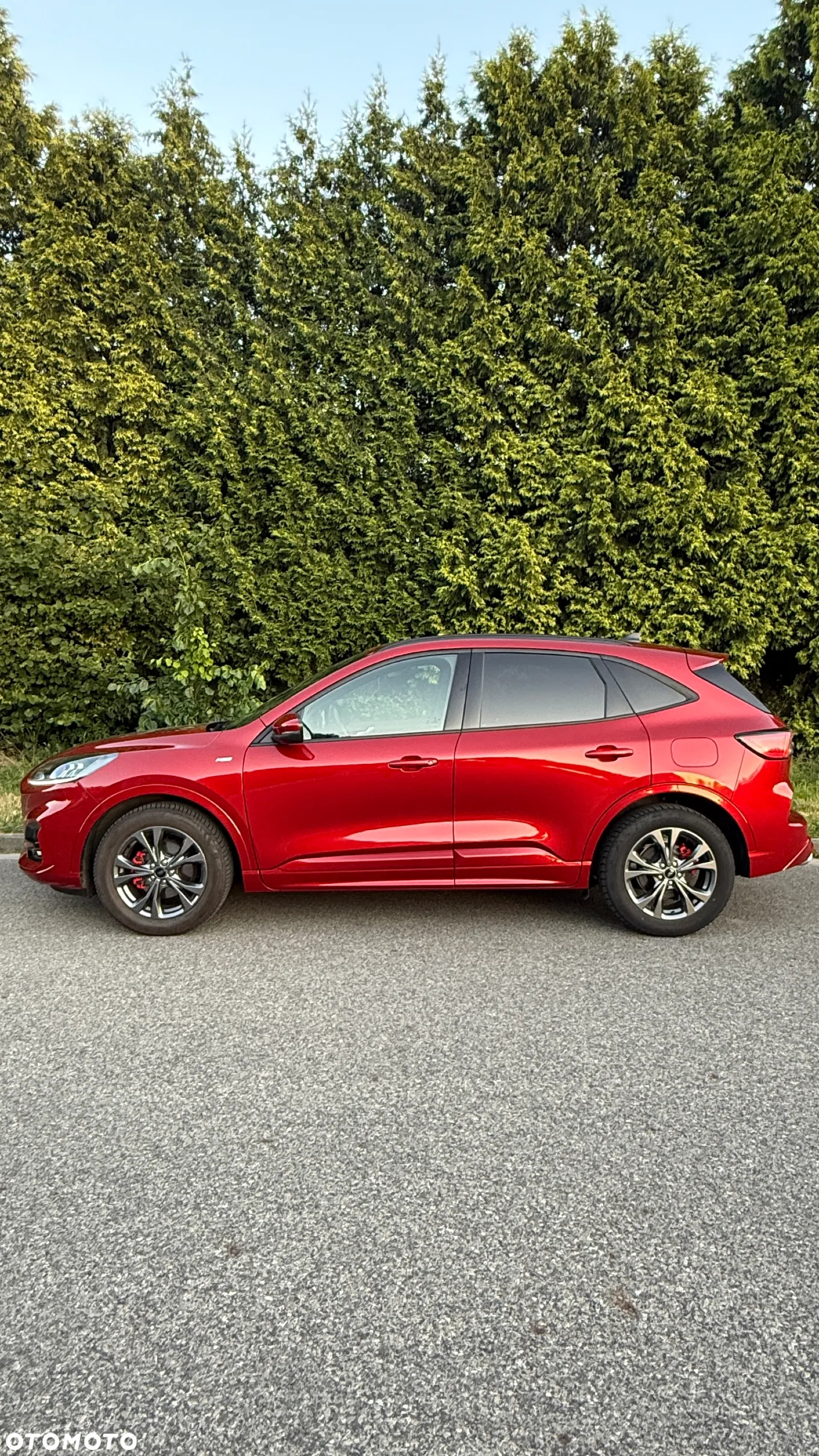 Ford Kuga 2.5 FHEV FWD ST-Line - 8