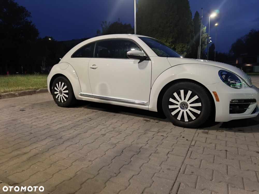 Volkswagen Beetle - 3