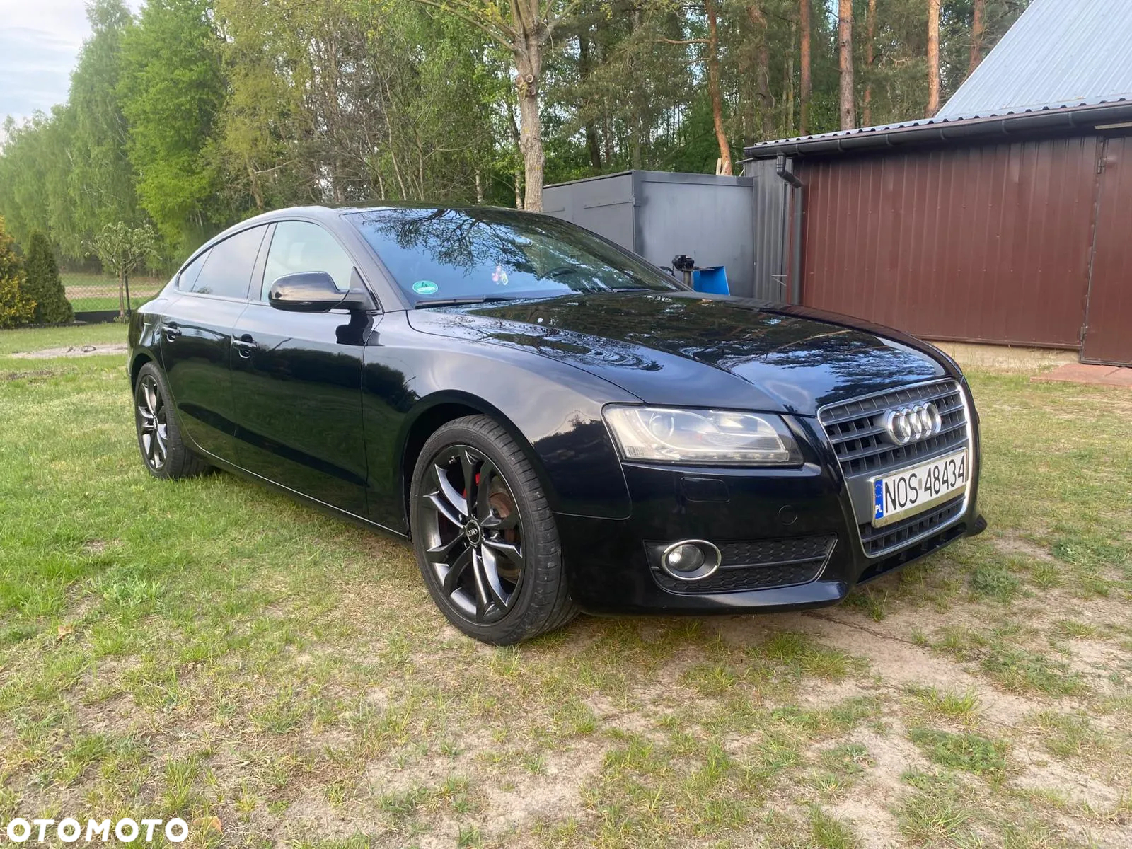 Audi A5 2.0 TDI Sportback DPF - 19